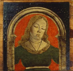 Ceiling Panels